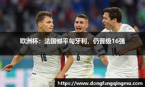 欧洲杯：法国憾平匈牙利，仍晋级16强