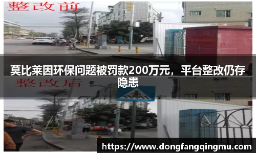 莫比莱因环保问题被罚款200万元，平台整改仍存隐患