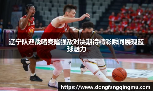 辽宁队迎战喀麦隆强敌对决期待精彩瞬间展现篮球魅力